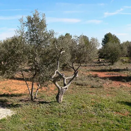 Casa Rural El Falco Chella
