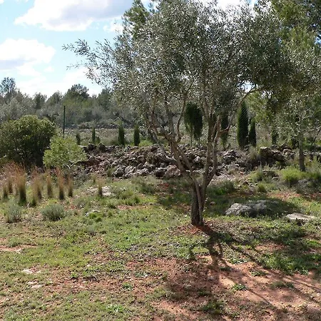 Casa Rural El Falco * Chella