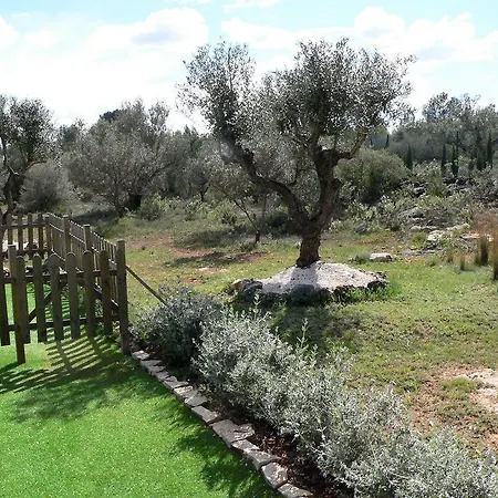 Сasa de vacaciones Casa Rural El Falco